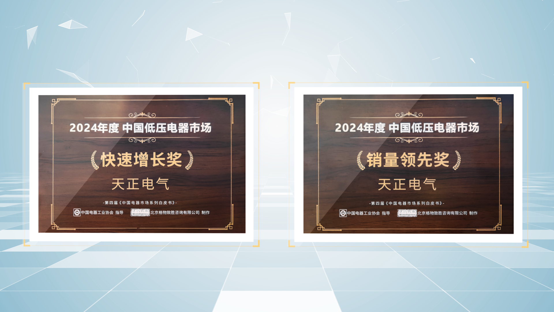 销量领先、快速增长丨爱游戏平台荣膺2项行业年度大奖